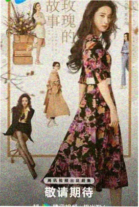 总裁的海鸥前妻